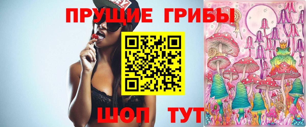 Серов  Псилоцибиновые грибы ЛСД  Вход с VPN  Галлюциногенные грибы мицелий 